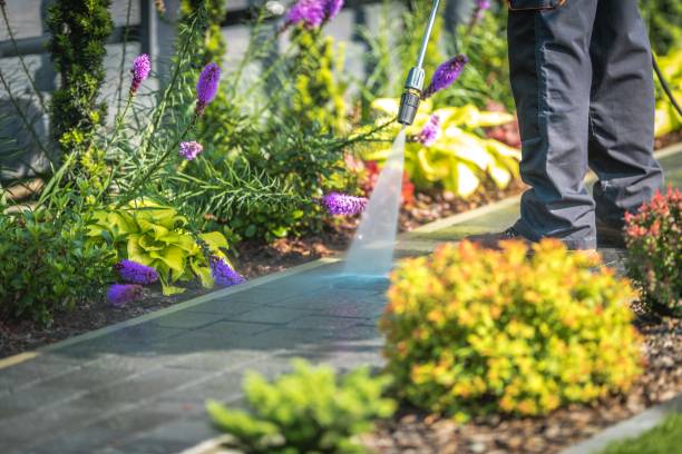 East Norwich, NY Pressure Washing Services Company