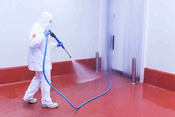 Best Warehouse Cleaning  in East Norwich, NY