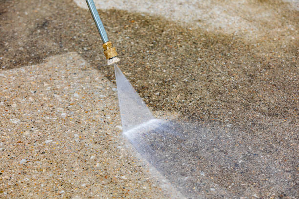Best Sidewalk and Walkway Cleaning  in East Norwich, NY
